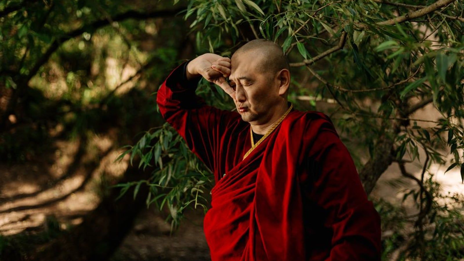 [转载] 身体和感受是不同的