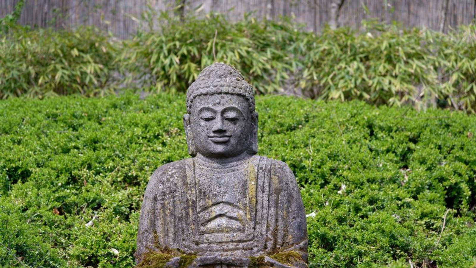 生活的意义（二）