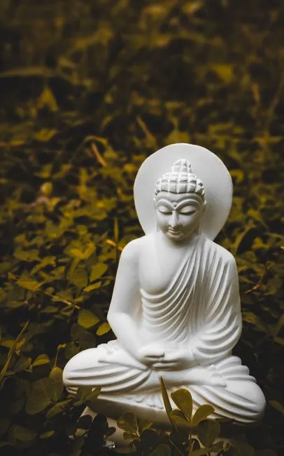 西方禅修者怎么讲初果？（一）