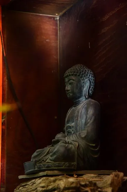 睁着眼睛怎么修行？！