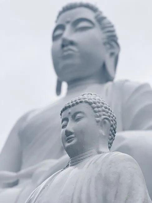 精进地禅修，会变得越来越孤陋寡闻吗？