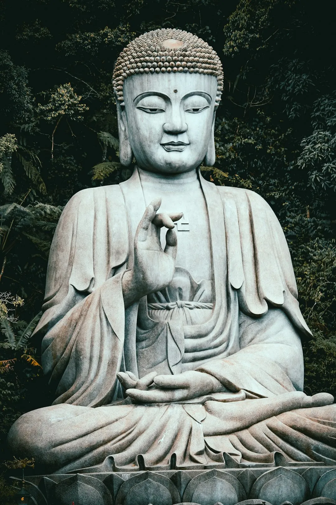 四念住禅修心得 (1)