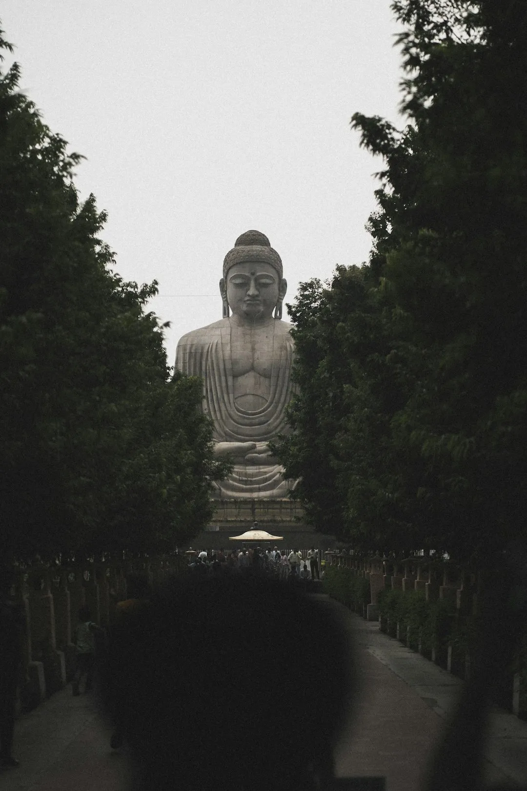 振荡与波