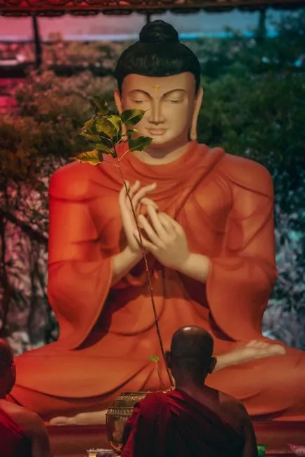 暑假想参加内观禅修，怎么选择好呢？