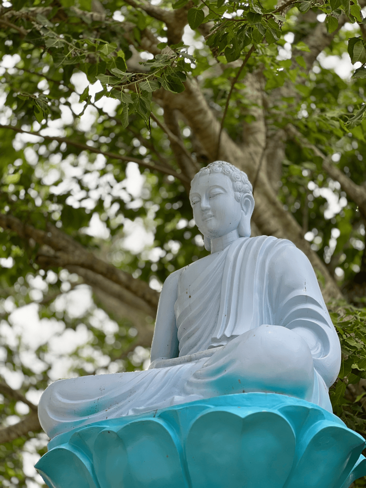 首次葛印卡四念住禅修心得 (4)