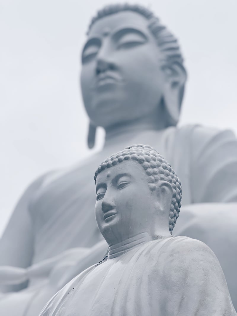 精进地禅修，会变得越来越孤陋寡闻吗？