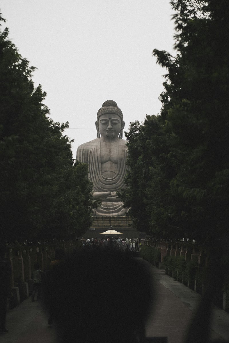 振荡与波